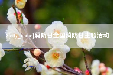 安陆消防日全国消防日主题活动