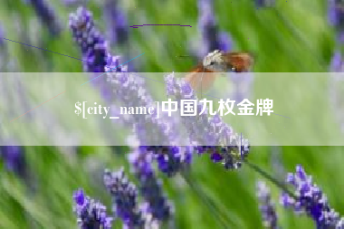安陆中国九枚金牌