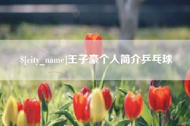 安陆王子豪个人简介乒乓球