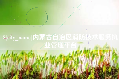 安陆内蒙古自治区消防技术服务执业管理平台