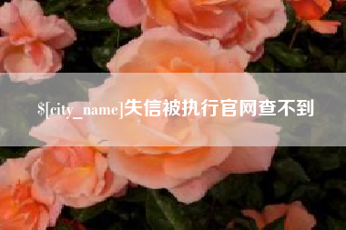 安陆失信被执行官网查不到