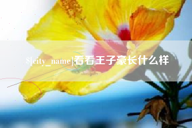 安陆看看王子豪长什么样