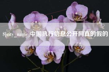 安陆中国执行信息公开网真的假的