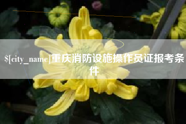 安陆重庆消防设施操作员证报考条件