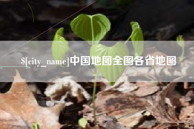 安陆中国地图全图各省地图