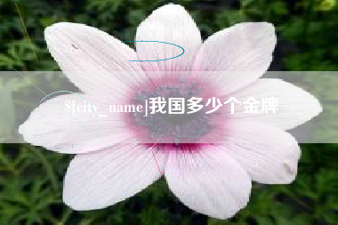 安陆我国多少个金牌