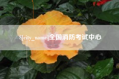 安陆全国消防考试中心