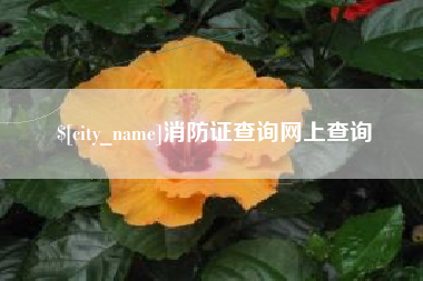 安陆消防证查询网上查询
