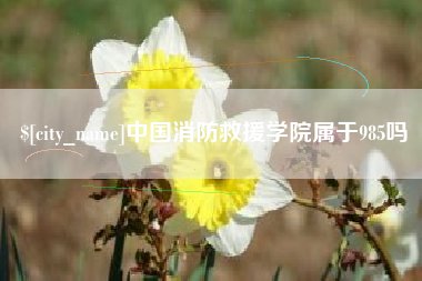 安陆中国消防救援学院属于985吗