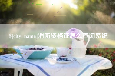 安陆消防资格证怎么查询系统