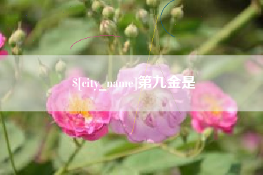 安陆第九金是