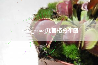 安陆九宫格分布图