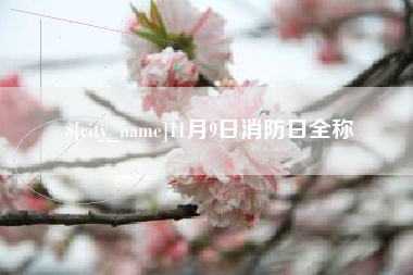 安陆11月9日消防日全称