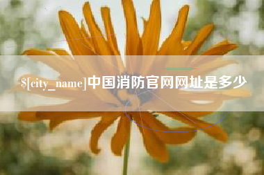 安陆中国消防官网网址是多少