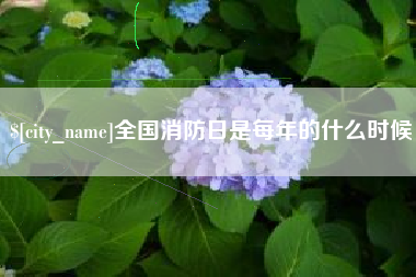 安陆全国消防日是每年的什么时候