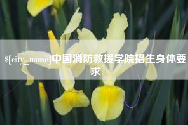 安陆中国消防救援学院招生身体要求