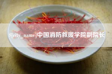 安陆中国消防救援学院副院长