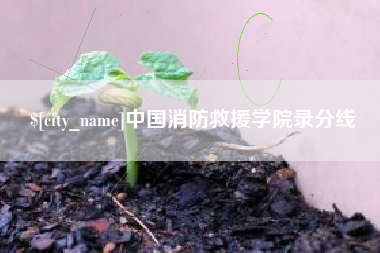 安陆中国消防救援学院录分线