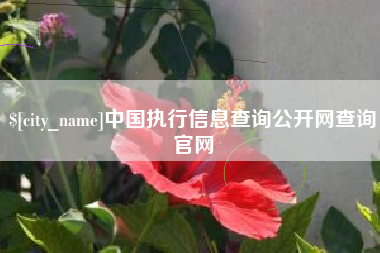 安陆中国执行信息查询公开网查询官网