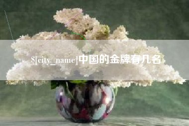 安陆中国的金牌有几名
