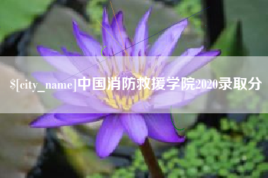 安陆中国消防救援学院2020录取分