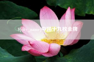 安陆中国十九枚金牌