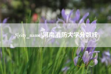安陆河南消防大学分数线