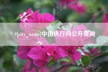 安陆中国执行网公开查询