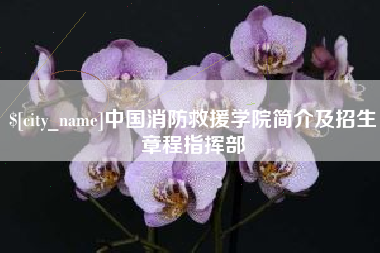 安陆中国消防救援学院简介及招生章程指挥部