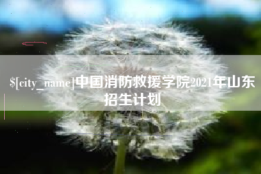 安陆中国消防救援学院2021年山东招生计划