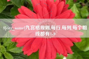 安陆九宫格规则,每行,每列,每个粗线都有1-9