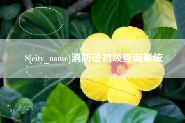 安陆消防证初级查询系统