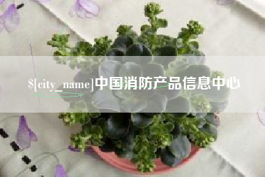 安陆中国消防产品信息中心