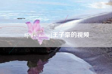 安陆王子豪的视频