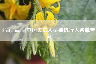 安陆中国失信人员被执行人名单查询