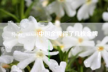 安陆中国金牌得了几枚金牌