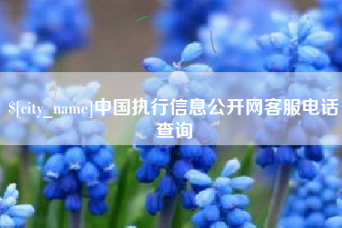 安陆中国执行信息公开网客服电话查询