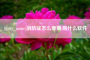 安陆消防证怎么查询,用什么软件