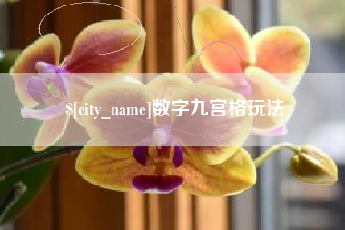 安陆数字九宫格玩法