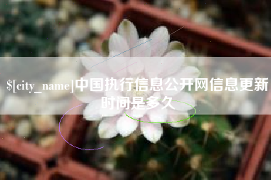 安陆中国执行信息公开网信息更新时间是多久