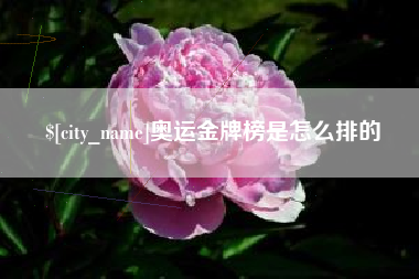 安陆奥运金牌榜是怎么排的
