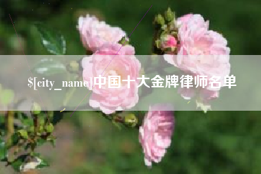 安陆中国十大金牌律师名单