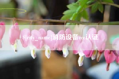 安陆消防设备ccc认证