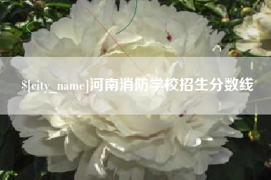 安陆河南消防学校招生分数线