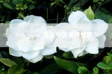 安陆现在中国金牌是多少
