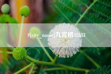 安陆九宫格42633