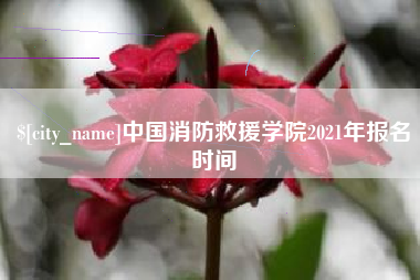 安陆中国消防救援学院2021年报名时间