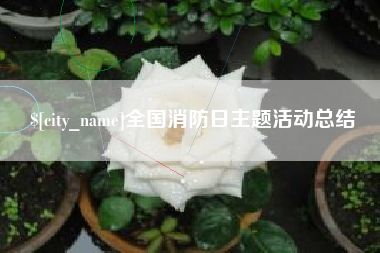 安陆全国消防日主题活动总结