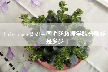 安陆2021中国消防救援学院分数线是多少