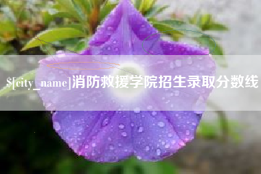 安陆消防救援学院招生录取分数线